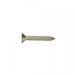 2.9X09.5 STAINLESS FLAT PHILLIPS SHEET METAL SCREW