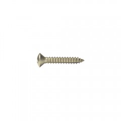 2.2X09.5 STAINLESS OVAL PHILLIPS METRIC SCREW