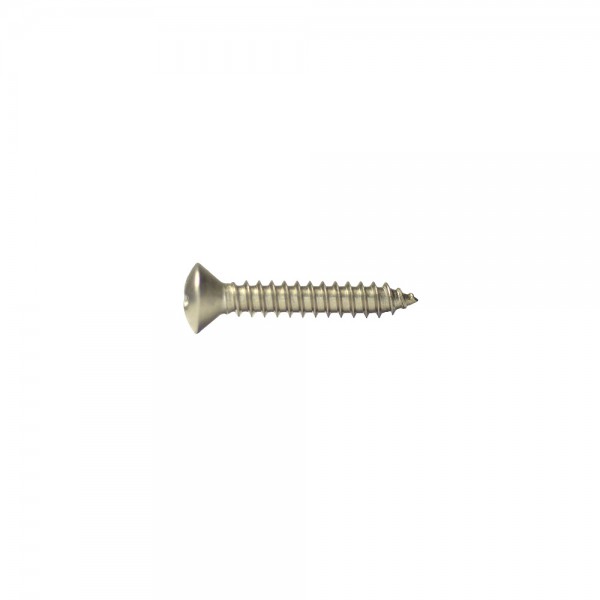 2.9X32 STAINLESS OVAL PHILLIPS METRIC SCREW