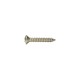 2.9X32 STAINLESS OVAL PHILLIPS METRIC SCREW