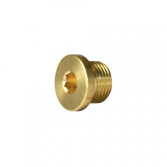 METRIC SHCS PLUGS BRASS PLUG M14 X 1.5