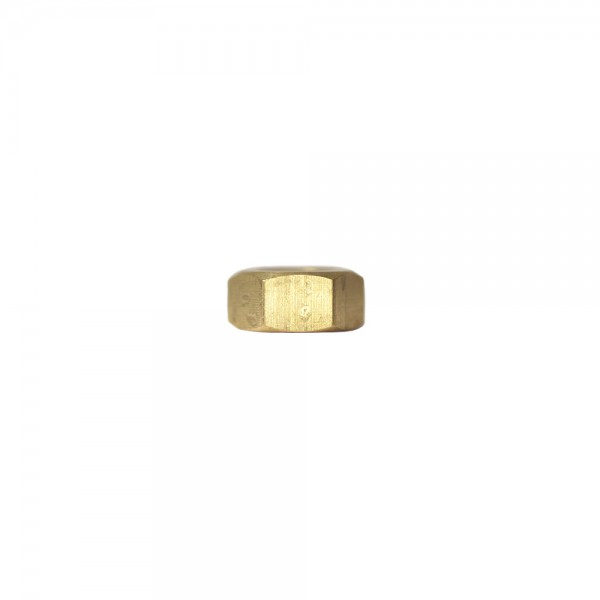 BRASS HEX NUT M06