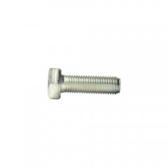 M08X1X025 ZINC 961 BOLT M08X1X025 ZINC 961 BOLT