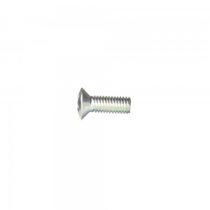 Zinc DIN 966 Screws