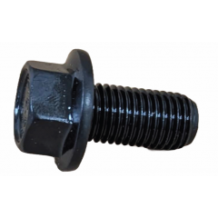 JIS B1189BO INDENTED HEX HEAD FLANGE BOLT M10X020