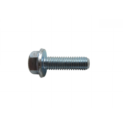JIS B1189Z INDENTED HEX HEAD FLANGE BOLT M08X25 JIS B1189Z INDENTED HEX HEAD FLANGE BOLT M08X25