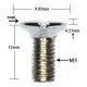 OVERSIZED CHROME OVAL SHIFTER SCREW M05X12
