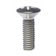 OVERSIZED OVAL HEAD PHILLIPS SCREW M05X016